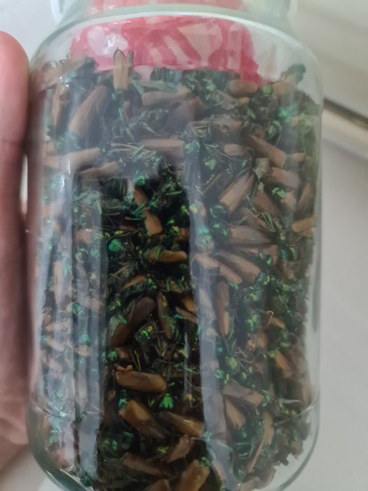 простатитты емдеу методы Актобе