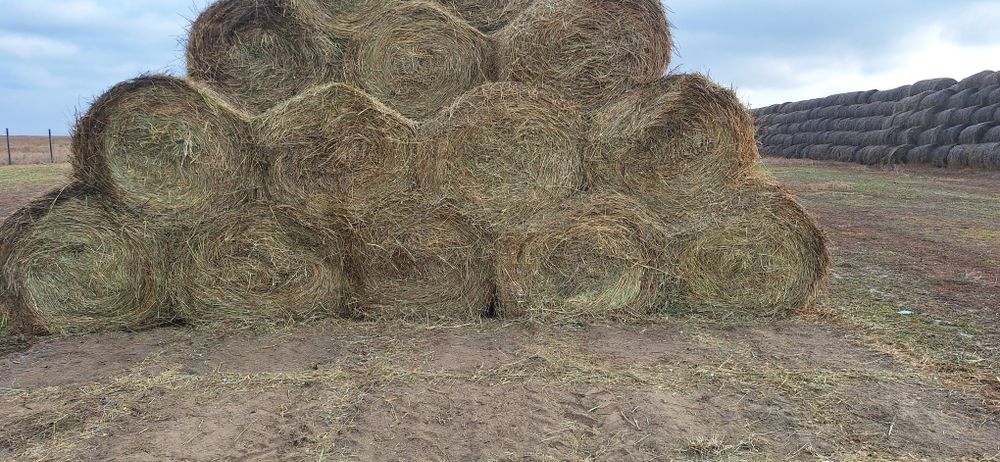 Продам сено разнотравие.