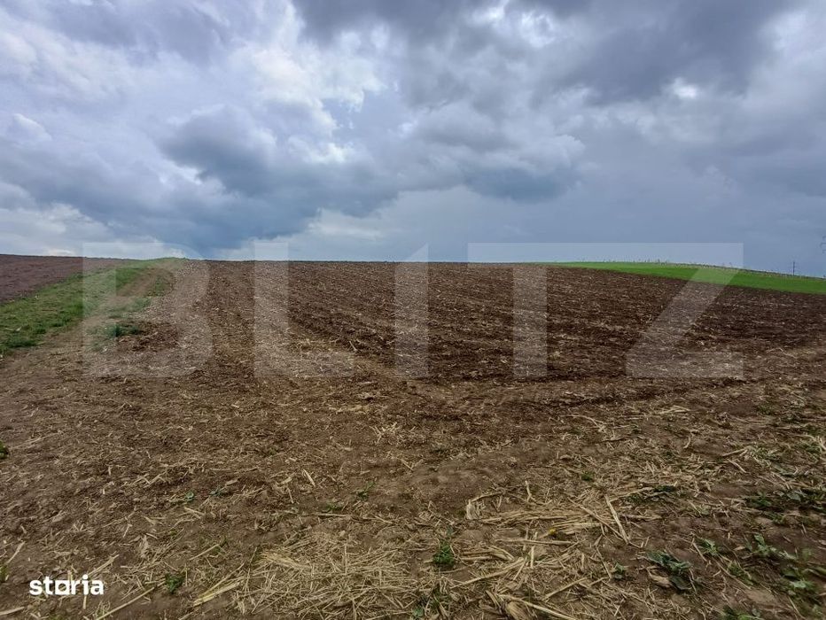 Teren de vanzare extravilan, 50 ari, Cumparatura