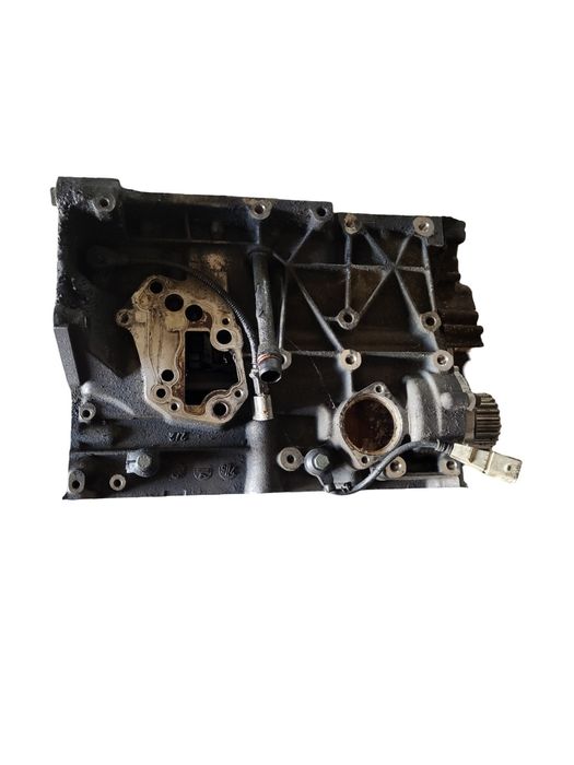Bloc Motor 2.0 Fsi Bvy Volkswagen Golf V 1K1 2003 - 2009 2.0 Fsi Axw,