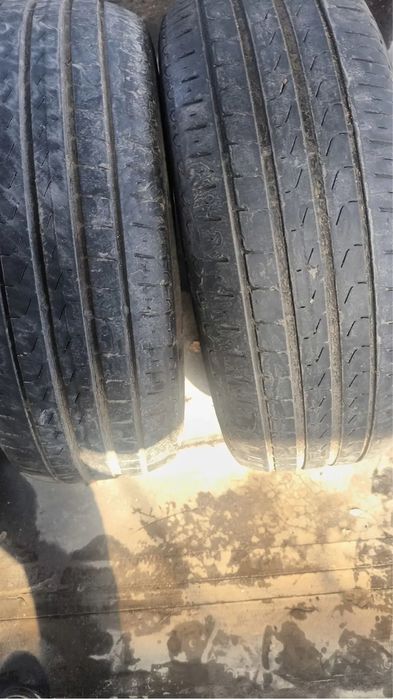 Летняя резина Pirelli