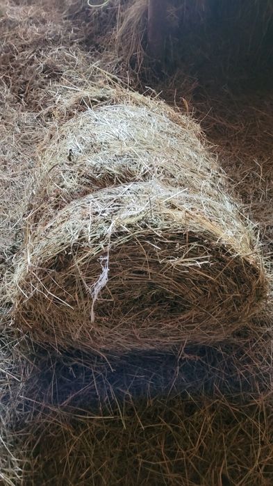 Vand baloti de fan si de ovaz