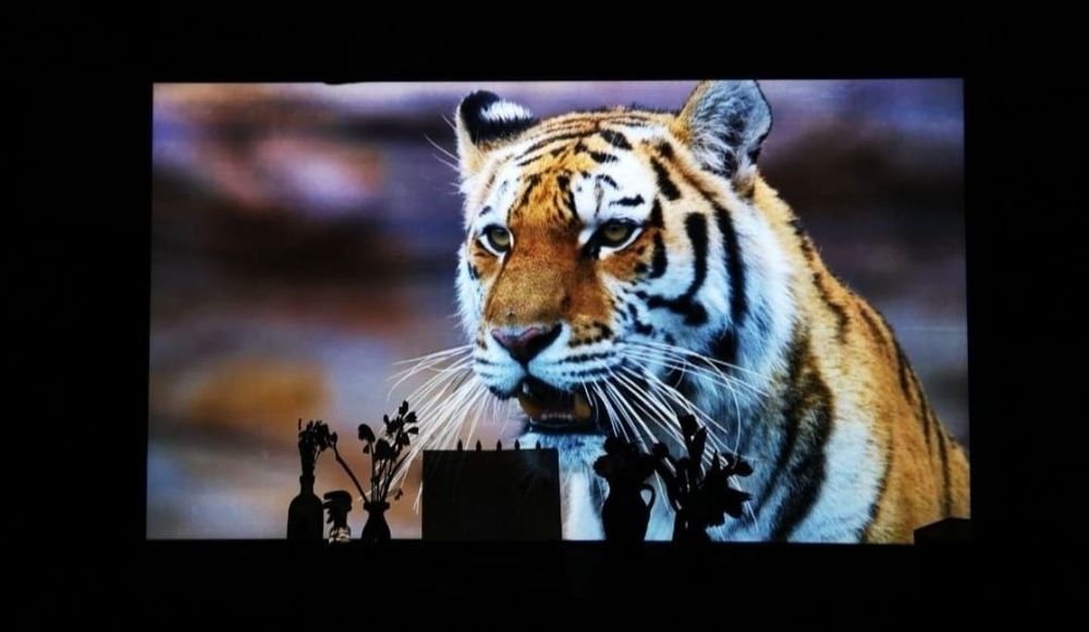 Proiector android Touyinger H6