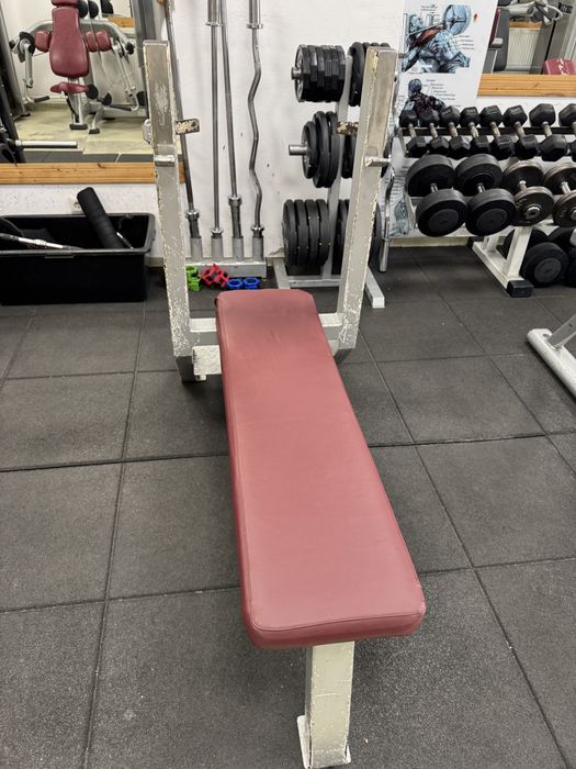 Banci fitness profesionale  life fitness  / gym 80