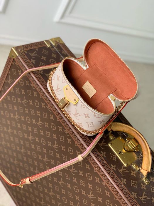 Geanta Louis Vuitton Vanity Pouch