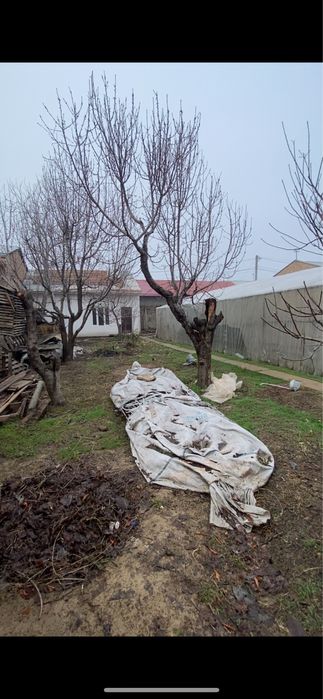 Юнусобод Тикланишда ер сотилади