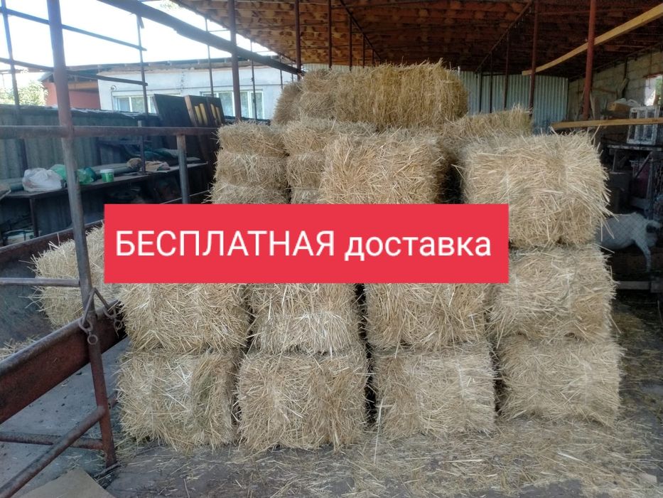 Сабан пресс  Сабан Салома Бидай сабан