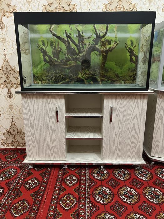 Akvariumlar har hil turdagi