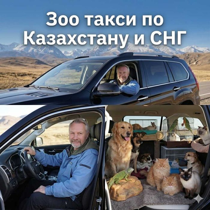 ЗОО такси для домашних животных