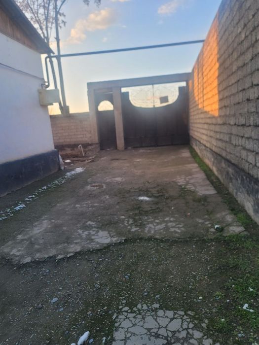 Katta Katej Sotiladi