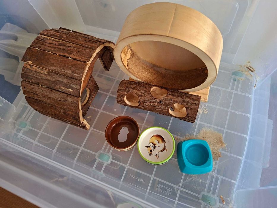 Обзавеждане за хамстер