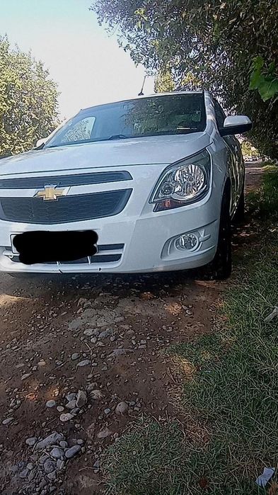 Kobilt 2013 denovni moshini