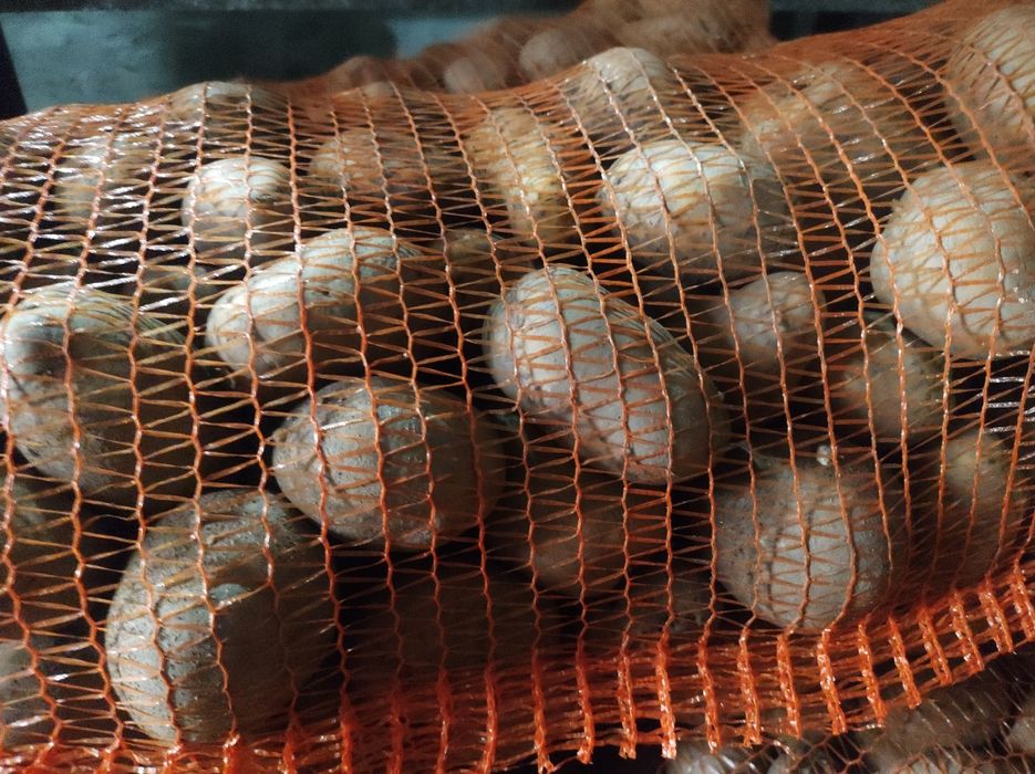 Cartofii de Făgăraș albi și roși ieftini și buni