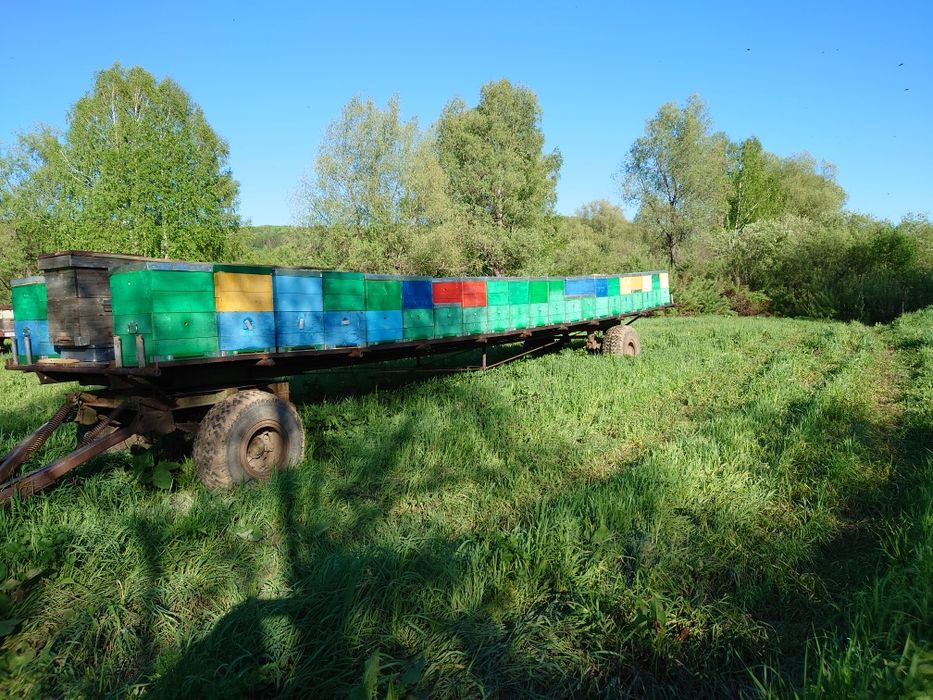 Мёд со своей пасеки.