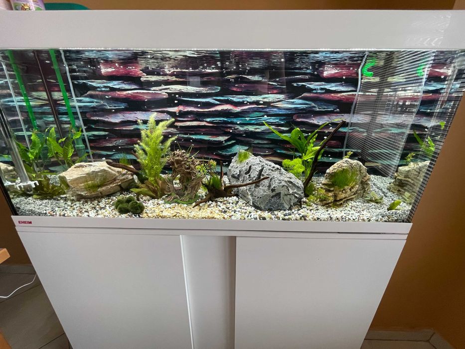 Аквариум с поставка EHEIM Vivaline LED 240 - бял