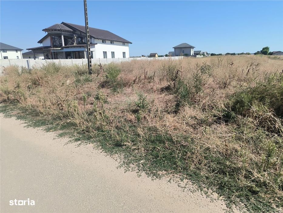 Terenuri De Vanzare In Domnesti , Zona De Case Noi
