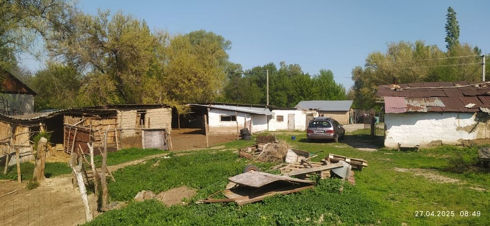 Уй сатылады екпінді достық 6