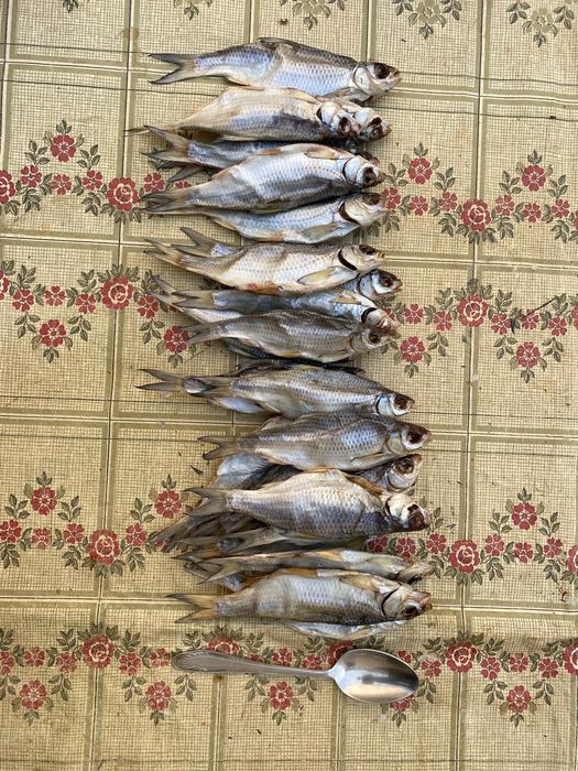 Вобла кепкен балық