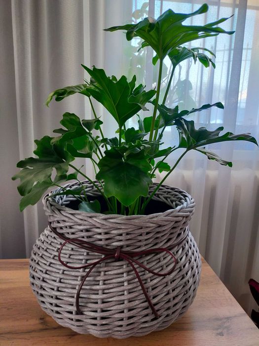 Продам кашпо из ротанга
