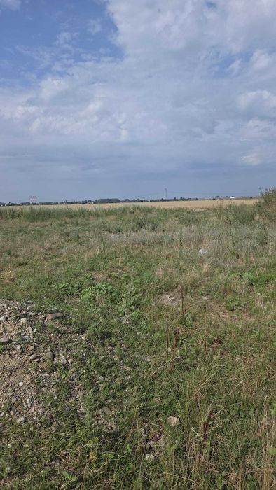 Vand teren intravilan industrial construibil sat Bâcu judetul Giurgiu