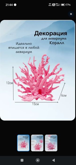 Коралл в аквариум 2 штуки новые