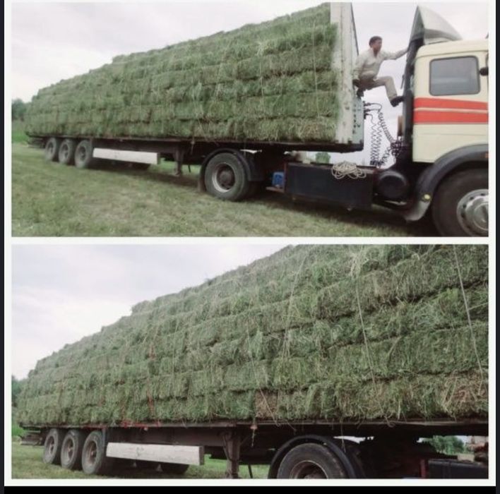 Сено разнотравия Люцерно