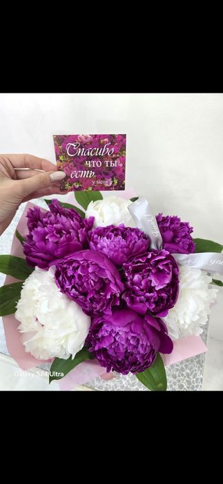Пионы, розы, разные цветы