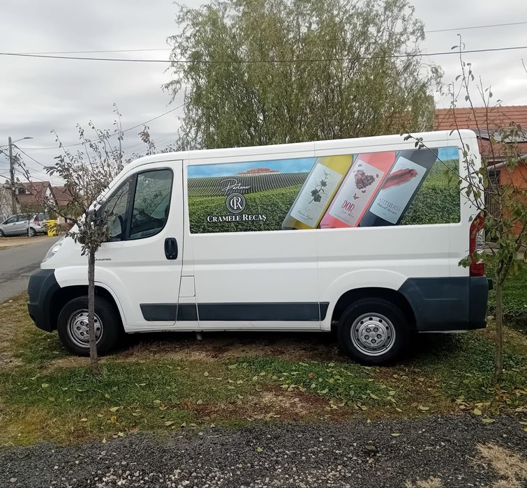 Vand firma partener CRAMELE RECAS