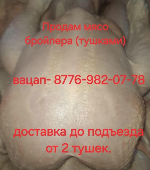 Продам мясо бройлера !
