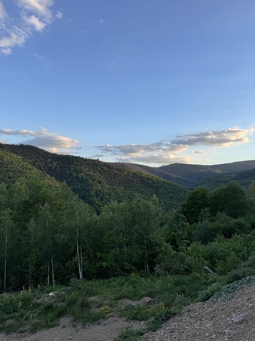 Teren de vanzare muntii  Apuseni