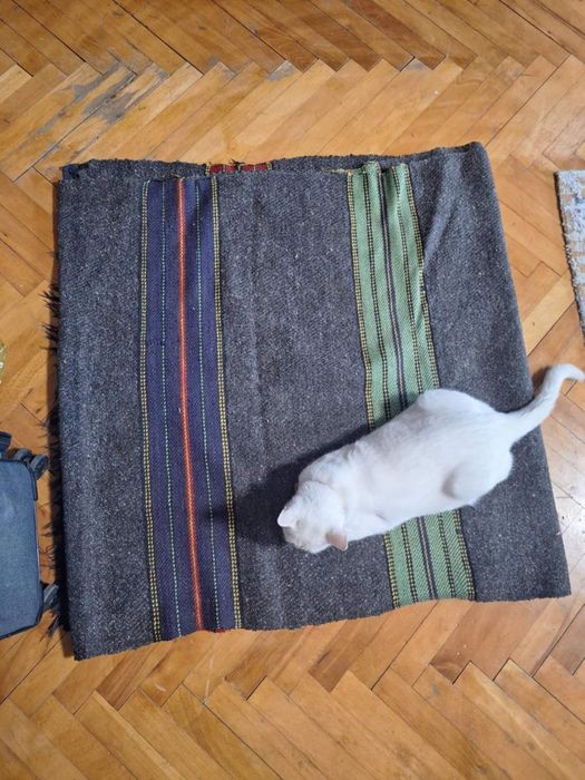 Битова черга, черна