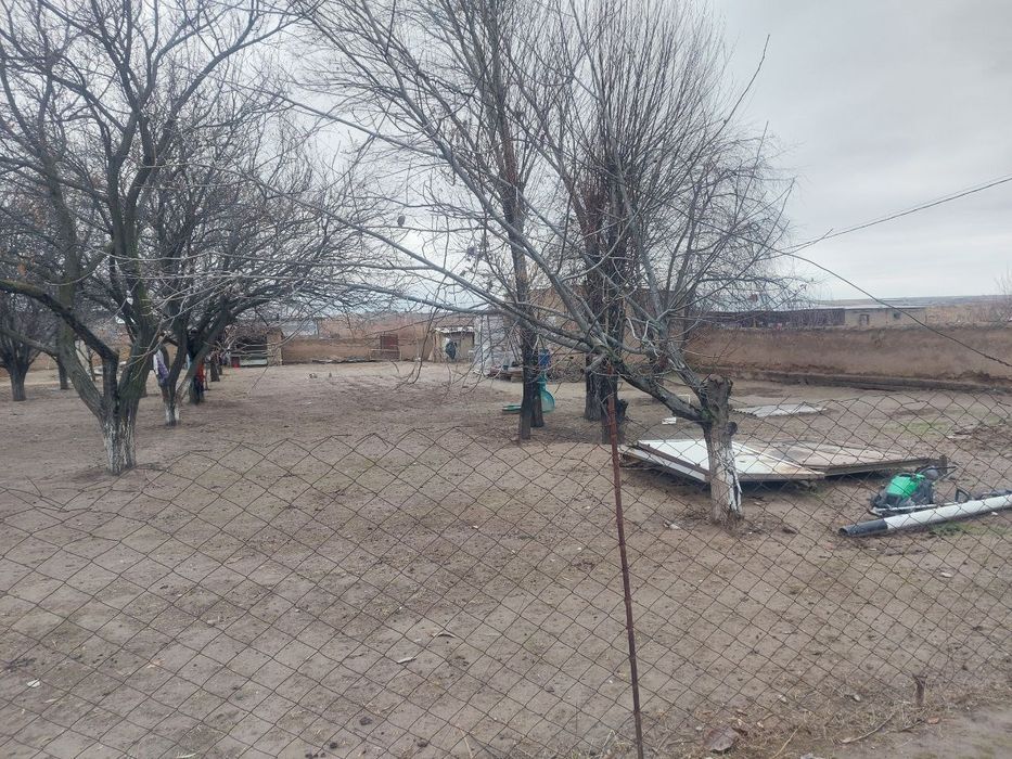 Участка сотилади, 10сотик