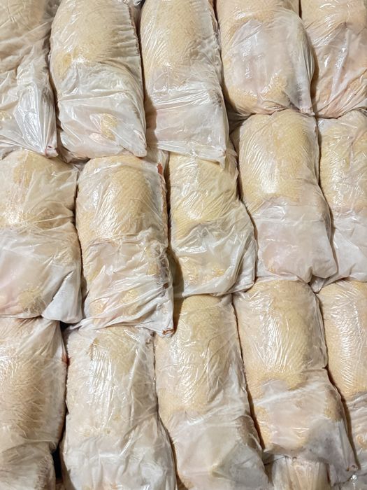 Гуси оптом домашние