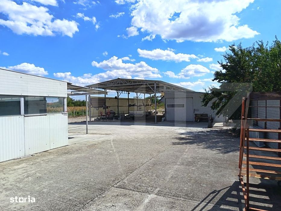 Casa spatioasa P+M, 233 mp, teren de 2518 mp, zona Mihai Viteazu