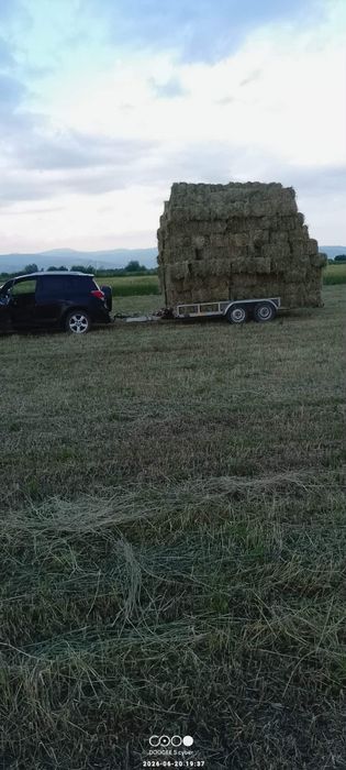 Baloti lucerna de vanzare