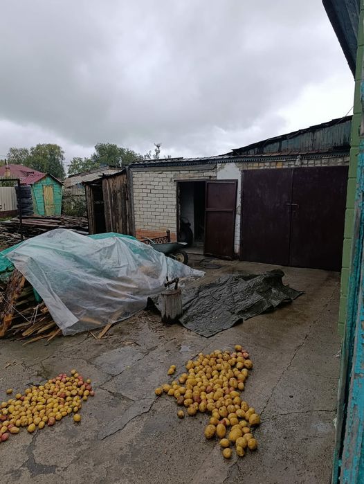 Продам два дома на одном участке