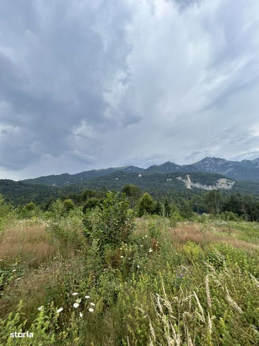 Teren intravilan, 1000 mp, proiect duplex P+E, zona Sinaia - Zamora