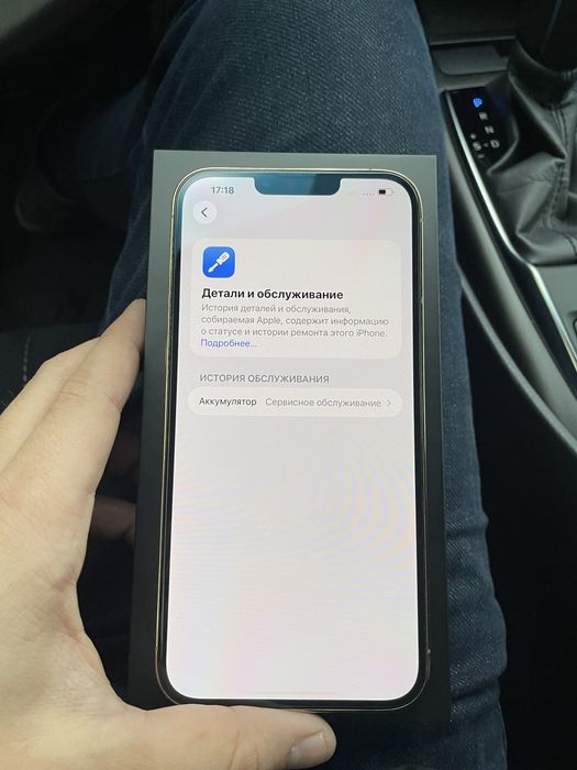 iPhone 13 Pro Max 256 GB