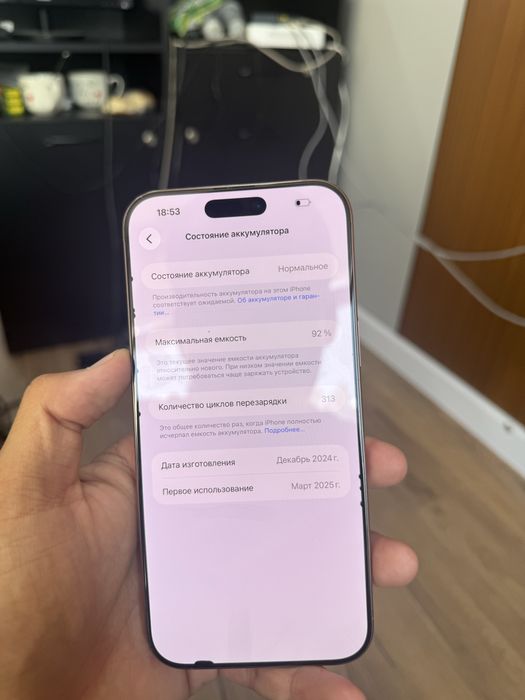 Iphone 16 Pro Max 256gb 92akb e sim