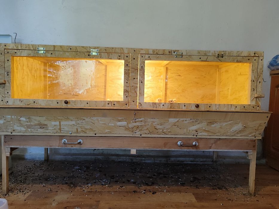 Брудер для цыплят