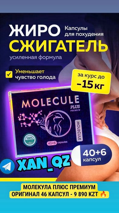 Оригинал Молекула Плюс инновационный органайзер