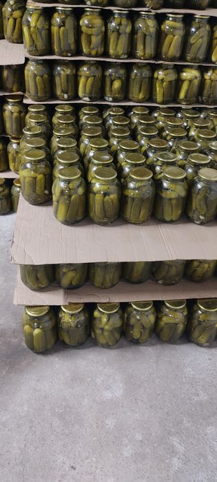 Маринованные помидоры домашние