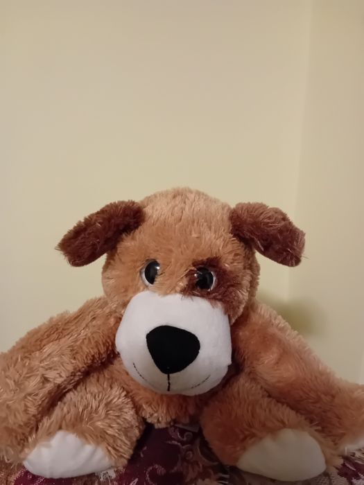 Vând plușuri diverse