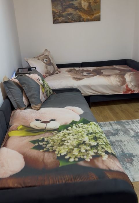 Cabana la munte Ciobotani Toplita