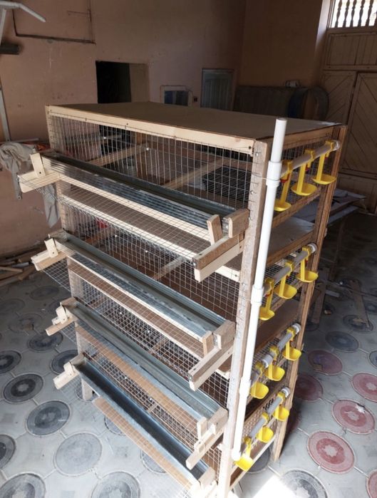 Бедана товук жожаларга клетка ин заказга