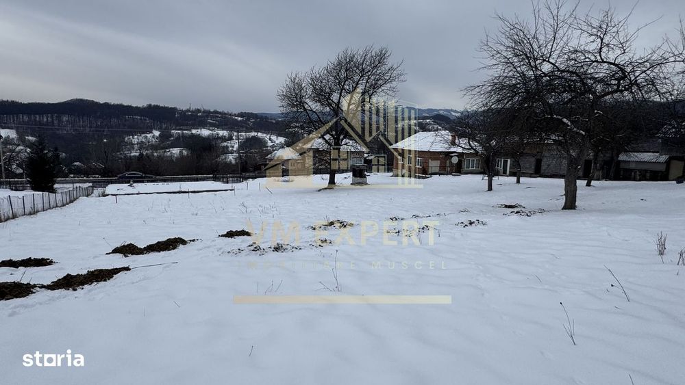Casă 4 Camere Teren 3038 Mp Albeștii  De Muscel