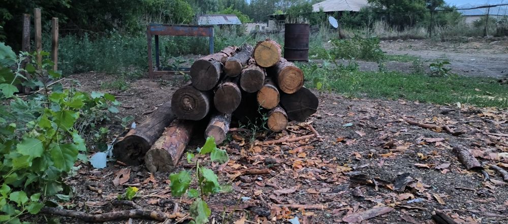 Продай деревянные жерди