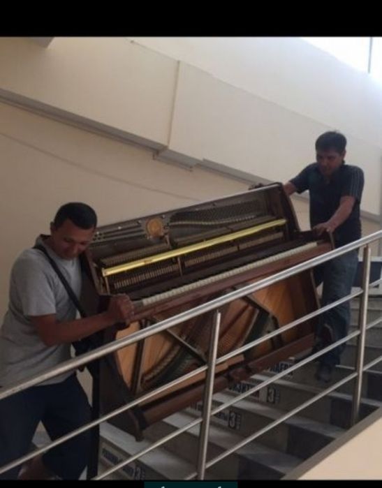 Мебел сочиб-йигиш, урнатиш, кучириш хизматлари.

Разборка, сборка, уст