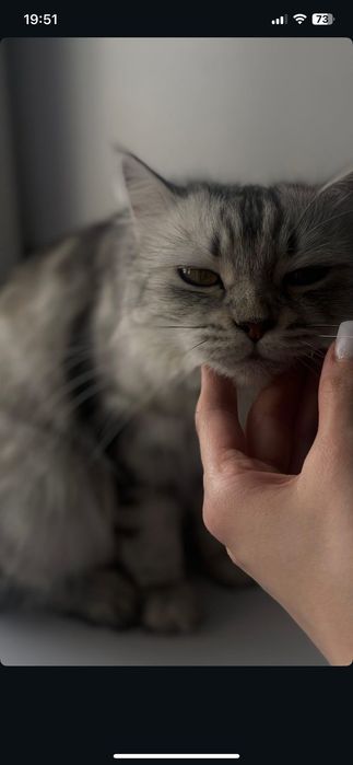 Отдам в хорошие руки.