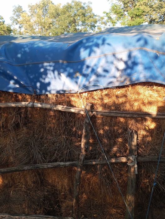 Vînd baloți dreptunghiulari